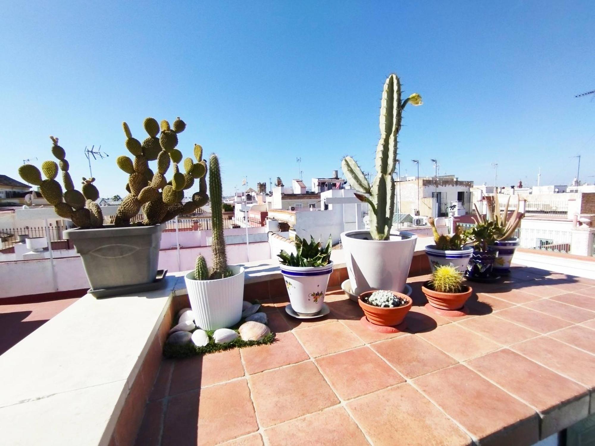 Appartement Casa Gavidia - Duplex With Panoramic View à Séville Extérieur photo
